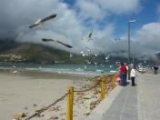 I love South Africa