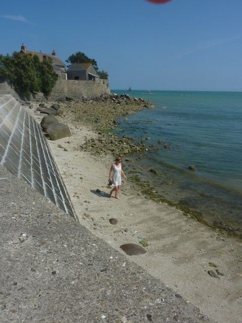 Lion sur Mer