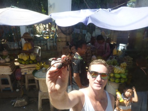 disgusting edible bugs