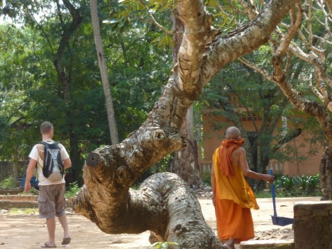 ways we are the same