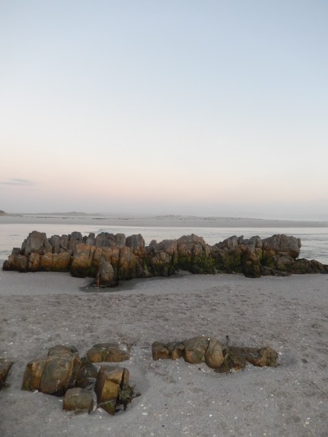 the best city in the world