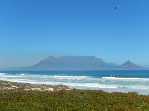 visit cape town