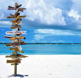 no expectations for travel